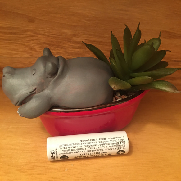 多肉動植物シリーズ/hippo 6枚目の画像
