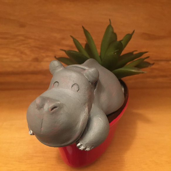 多肉動植物シリーズ/hippo 5枚目の画像