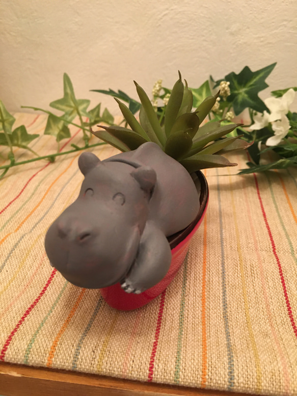 多肉動植物シリーズ/hippo 2枚目の画像