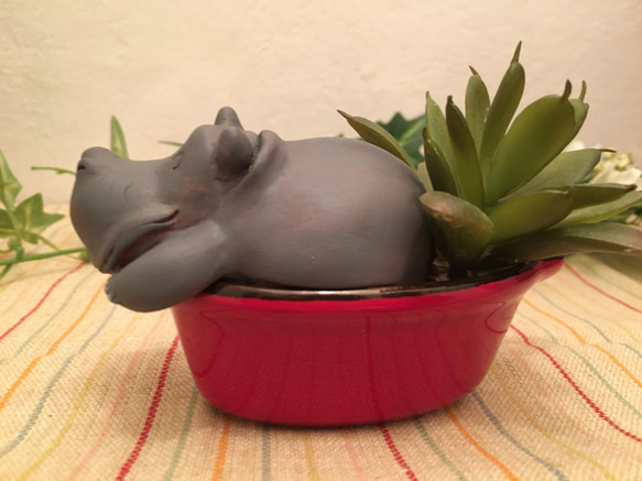 多肉動植物シリーズ/hippo 4枚目の画像