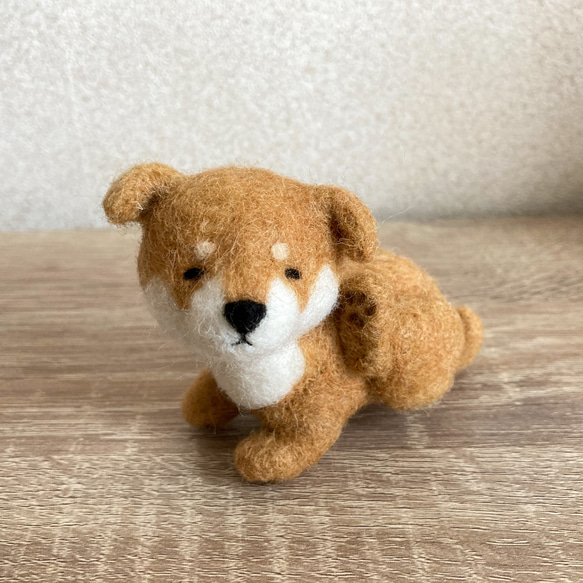 羊毛フェルト まんぷく柴犬／置き物 マスコット 羊毛フェルト