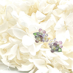 紫陽花のピアス（秋色紫陽花と白紫陽花） 2枚目の画像