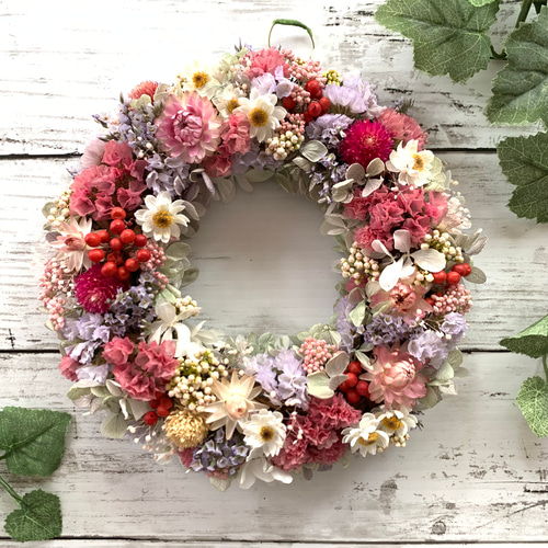 マキコ　ドライフラワーのリース マキコ ドライフラワーのリース マキコ ドライフラワーのリース 楽天