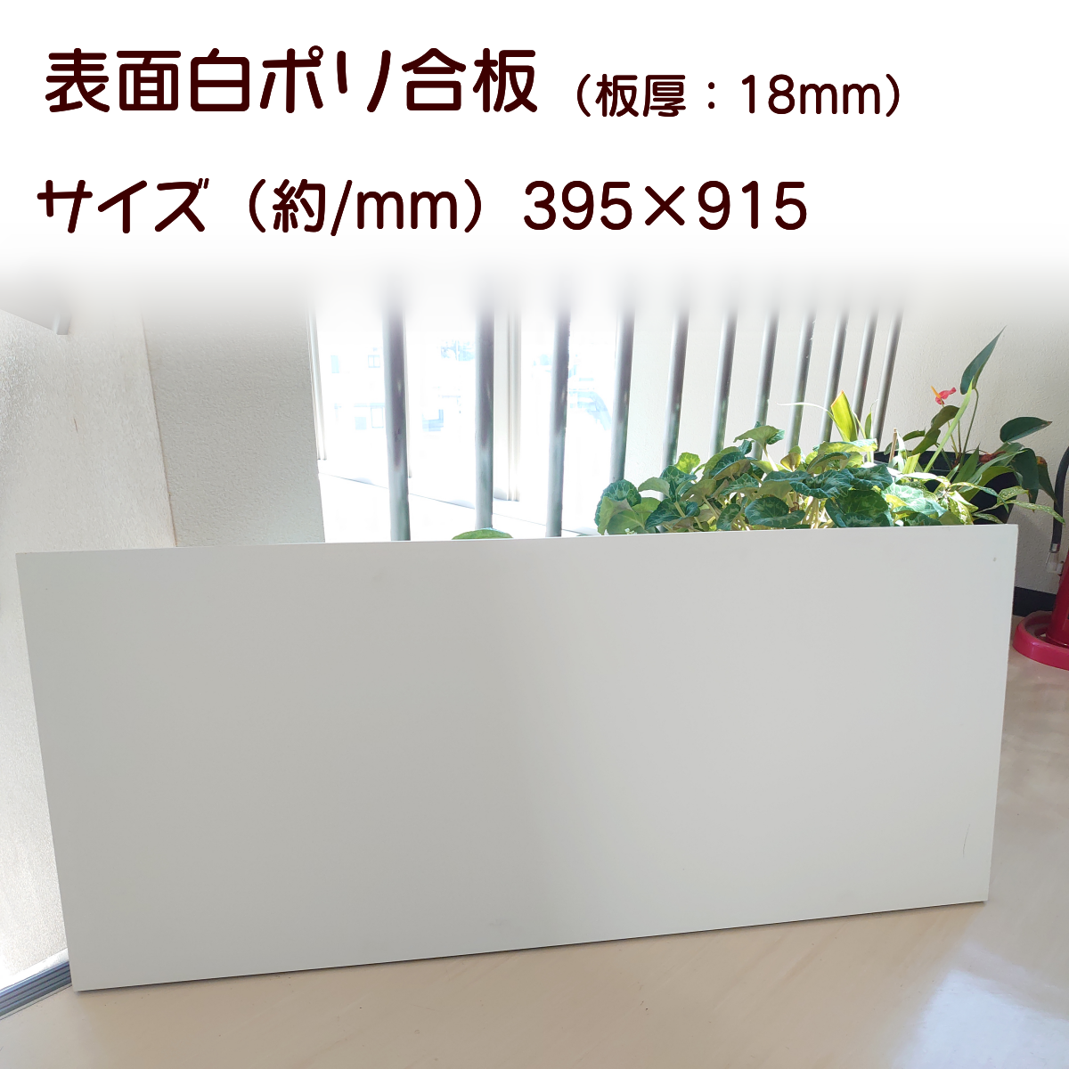 白ポリ合板（板厚18mm）：約395×915（mm） 木材・板 （株）黒岩 通販