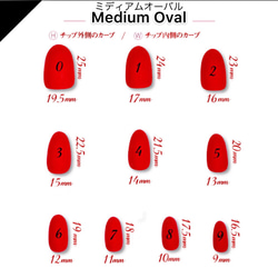 サイズ確認用ネイルチップ 2枚目の画像