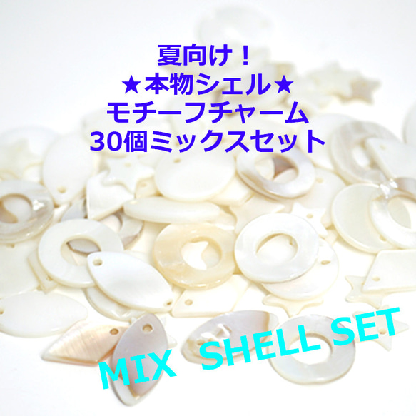 夏季福袋【28-30個】真貝殼！隨機魅力 第1張的照片