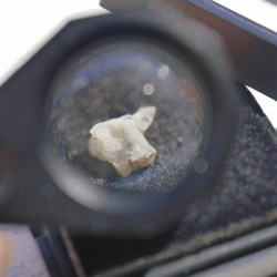 天然石フェナカイト2個セット合計約1.1ct(ブラジル産)結晶原石ルースケース付属鉱物[phe-220527-06] 6枚目の画像