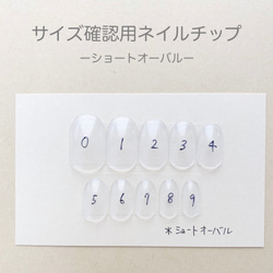 サイズ確認用ネイルチップ（ショートオーバル） ネイルチップ（つけ爪 