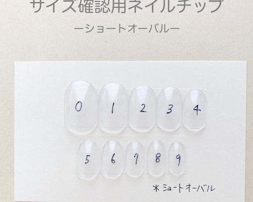 サイズ確認用ネイルチップ（ショートオーバル） ネイルチップ