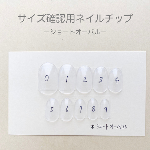 サイズ確認用ネイルチップ（ショートオーバル） ネイルチップ（つけ爪 