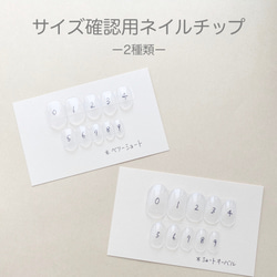 ご確認用ネイルチップ 550577b964d814454d8abaa8e14c18