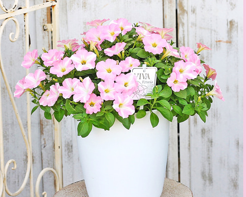 0c8791a574234be7342a3209b11bd2