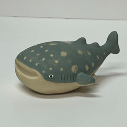 ジンベエザメ　子　Ｅ-125　陶製　/Whale shark /鯨鯊/Walhai/व्हेल शार्क 3枚目の画像