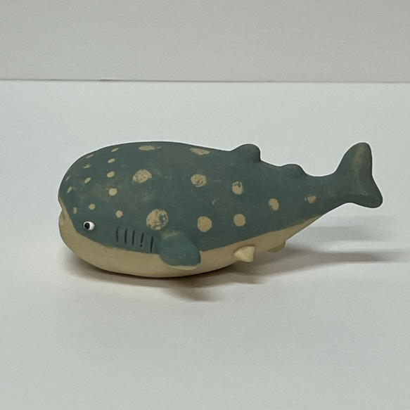 ジンベエザメ　子　Ｅ-125　陶製　/Whale shark /鯨鯊/Walhai/व्हेल शार्क 2枚目の画像