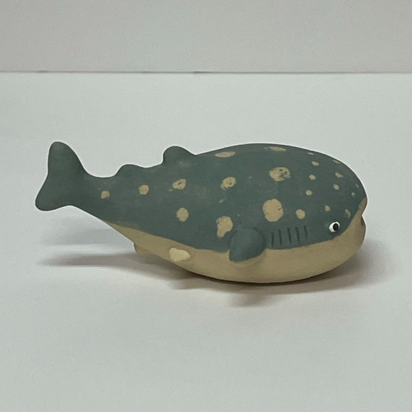 ジンベエザメ　子　Ｅ-125　陶製　/Whale shark /鯨鯊/Walhai/व्हेल शार्क 6枚目の画像