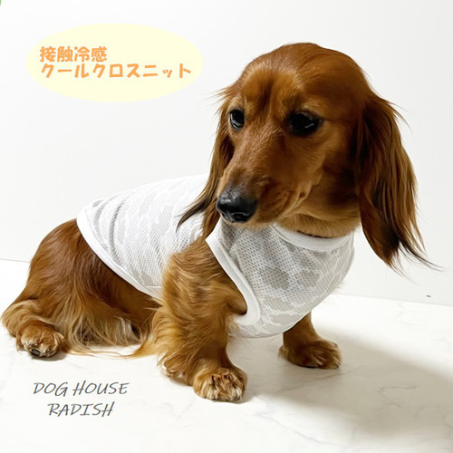 ☆犬服☆レースニットふんわりワンピースP. Sサイズ