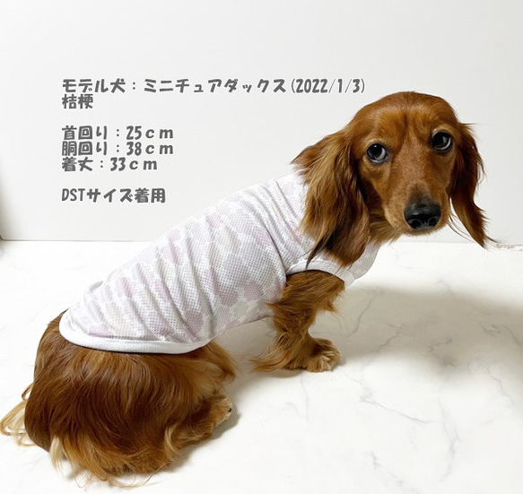 接触冷感タンクトップ くも柄 【ピンク】 Dog 犬服 ドッグウェア 夏 クール 雲 7枚目の画像