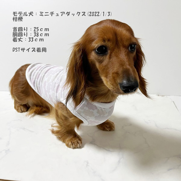 接触冷感タンクトップ くも柄 【ピンク】 Dog 犬服 ドッグウェア 夏 クール 雲 8枚目の画像