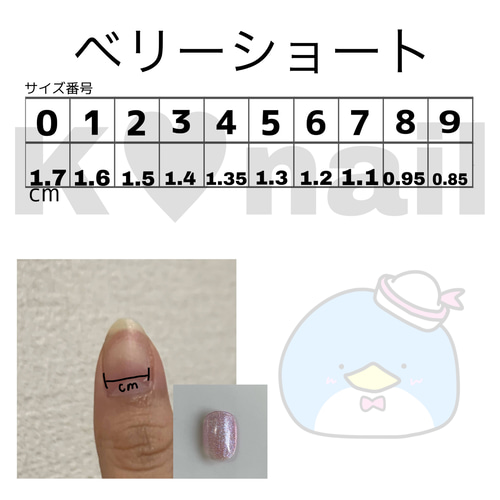 ネイルチップ 韓国 綺麗系 量産型 地雷系 ガーリー 蝶 オーダー ネイル