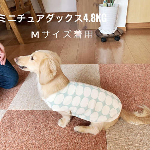 ミニチュアダックス服 ロングMサイズ タンクトップ レモン柄 犬