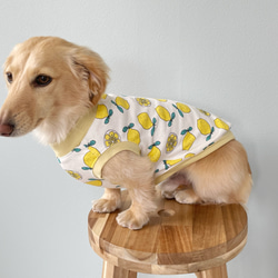 犬服ハンドメイド 車×黄ドットSサイズタンクトップ