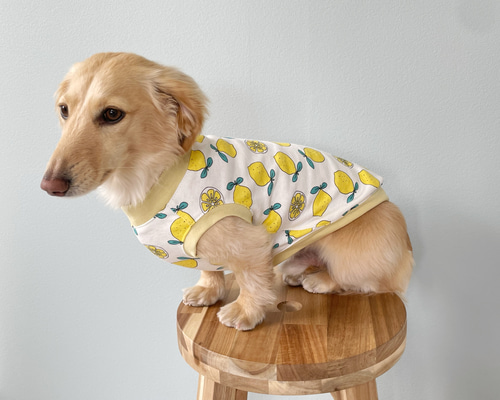 犬服ハンドメイド　タンクトップ(ミント☆) 中型犬～大型犬服 冷感 タンクトップ 保冷剤 cool ひんやり