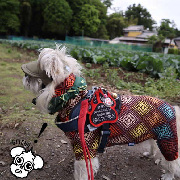 ドッグキャップ-リップストップカーキ（耳出し）犬用帽子 19枚目の画像