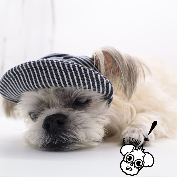 ドッグキャップ-デニムストライプ（耳出し）犬用帽子 12枚目の画像
