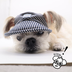 ドッグキャップ-デニムストライプ（耳出し）犬用帽子 9枚目の画像