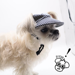 ドッグキャップ-デニムストライプ（耳出し）犬用帽子 1枚目の画像