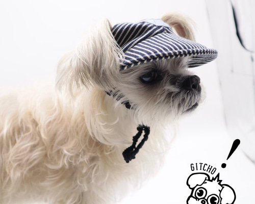 STICKY ZOO 垂れ耳子犬 キャップスター バックチャーム 210.jpg