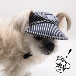 ドッグキャップ-デニムストライプ（耳出し）犬用帽子 8枚目の画像