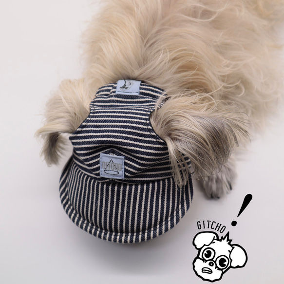 ドッグキャップ-デニムストライプ（耳出し）犬用帽子 11枚目の画像