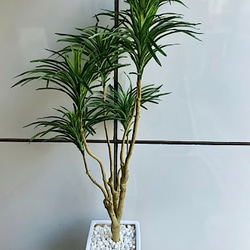格安新品  光触媒 人工観葉植物 フェイクグリーン フレッシュロング胡蝶蘭7 フラワー・ガーデニング