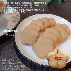 福岡産米粉で作ったクッキーです。小麦粉・卵・乳製品・動物性食品不使用。 2枚目の画像