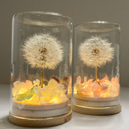 たんぽぽランプ》LEDライト付 綿毛ドライフラワー ボトルフラワー わた