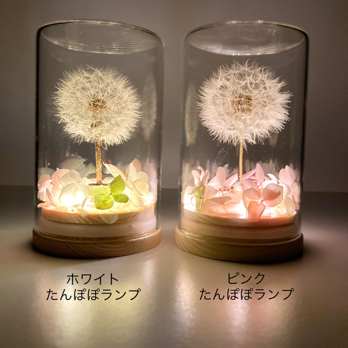 たんぽぽ様用再出品