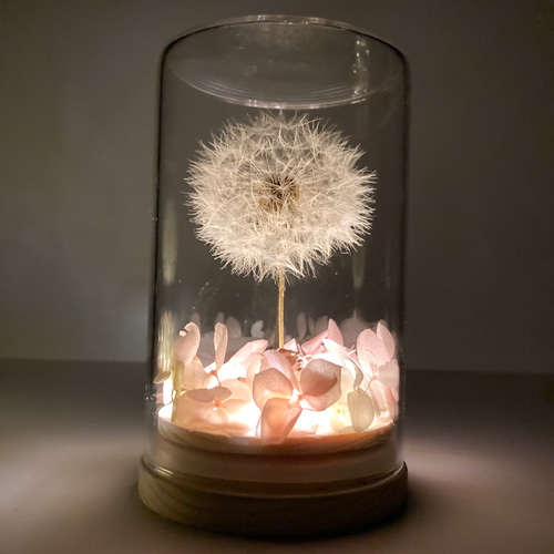 たんぽぽランプ》LEDライト付 綿毛ドライフラワー ボトルフラワー わた