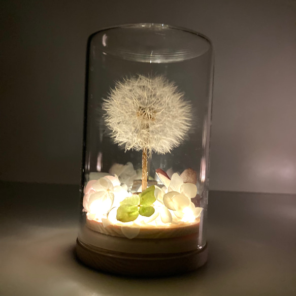 《たんぽぽランプ LEDライト付き》癒しのボトルフラワー　綿毛灯り かわいいボトルフラワーランプ　母の日フラワー2024 6枚目の画像