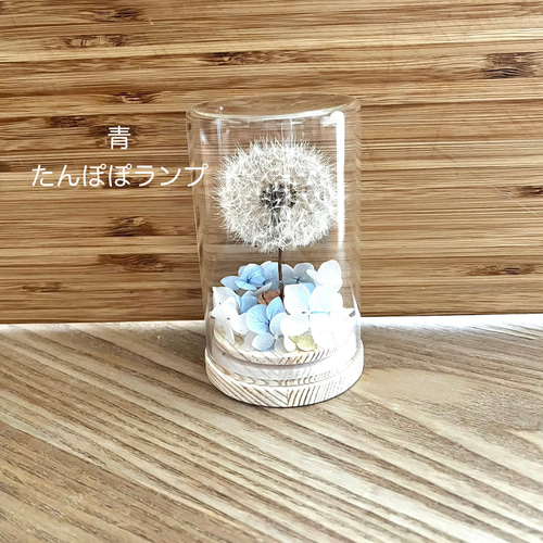 たんぽぽランプ》LEDライト付 綿毛ドライフラワー ボトルフラワー わた