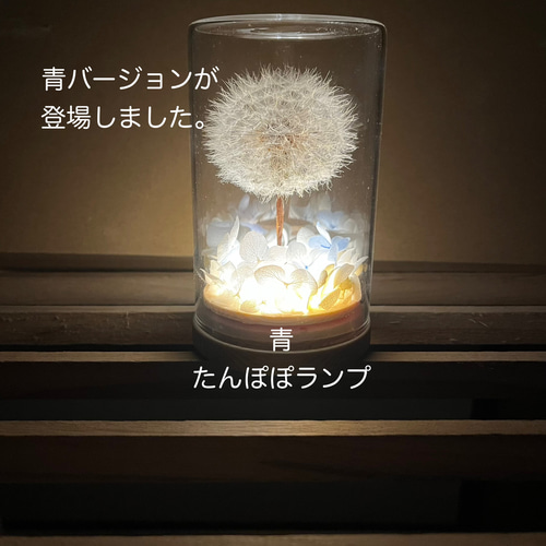 たんぽぽランプ》LEDライト付 綿毛ドライフラワー ボトルフラワー わた