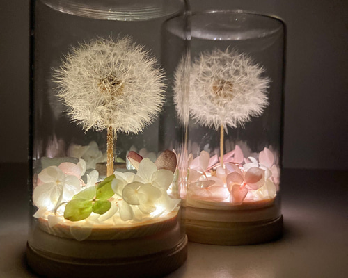 d96270c0913975c848d055f81de228