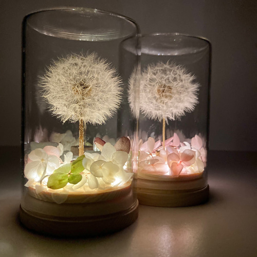 たんぽぽランプ》LEDライト付 綿毛ドライフラワー ボトルフラワー わた