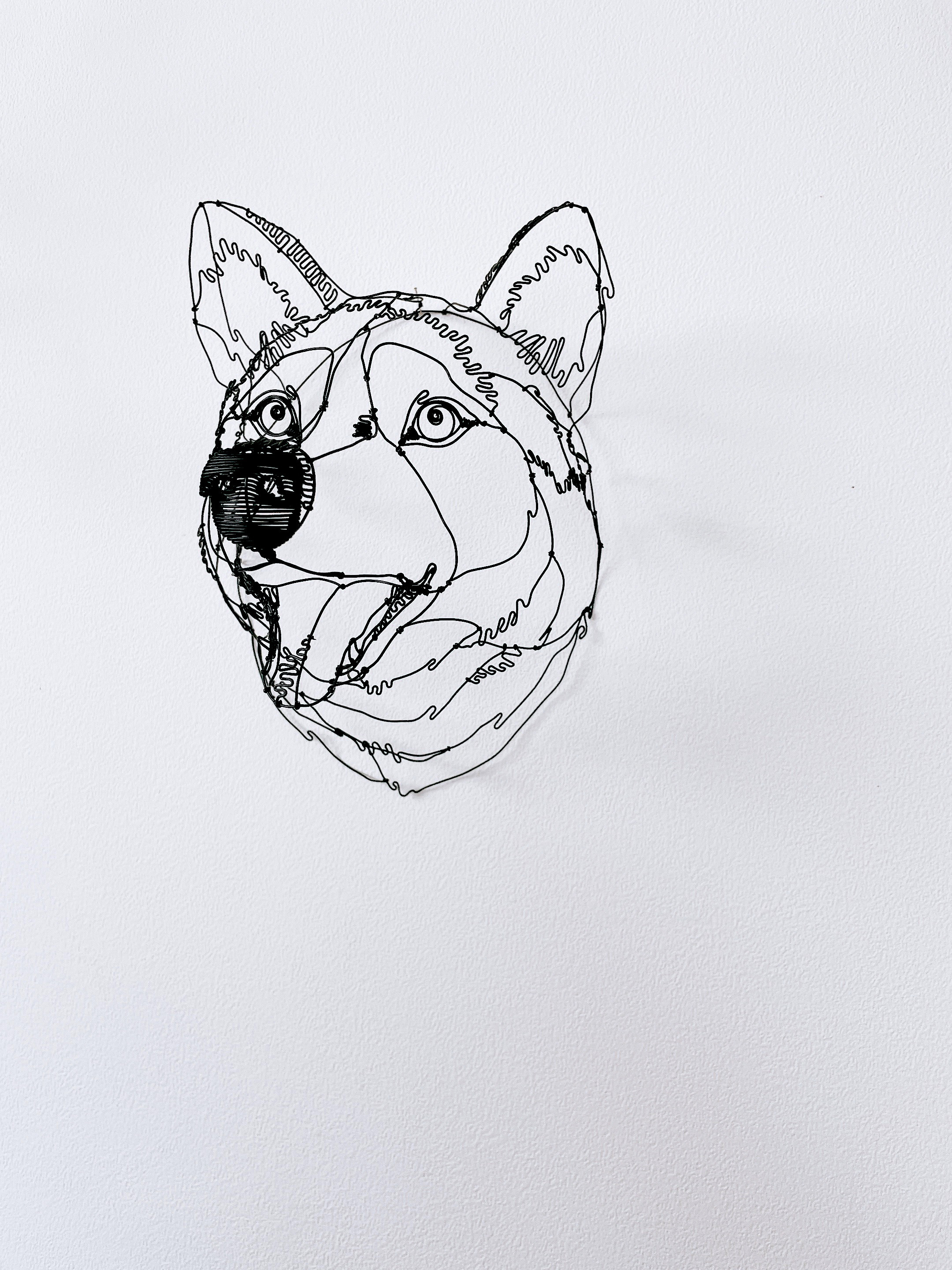 犬 3Dワイヤーアート (オーダー可)