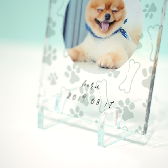 ペット 犬 猫 オリジナル オーダーメイド うちの子 クリスマス #A16 4枚目の画像