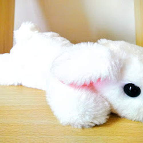 お月様からやってきたましろうさぎのぬいぐるみ ぬいぐるみ ぬくのこ