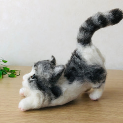 羊毛フェルト 猫 ねこ サバ白 のひ〜 羊毛フェルト にじいろ 羊毛