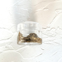  第10張的照片