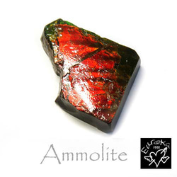 アンモライト 原石 カナダ・アルバータ州産 ルース 天然石 trg151 1枚目の画像