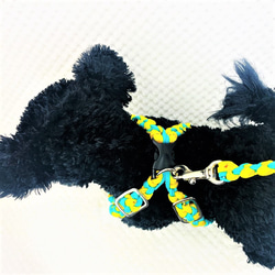 [公式]No209マクラメ編み 両片結びリード＆ハーネスのセット小型犬用(#173) 7枚目の画像